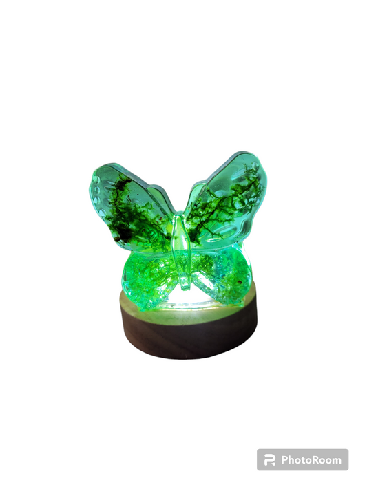 Pot papillon